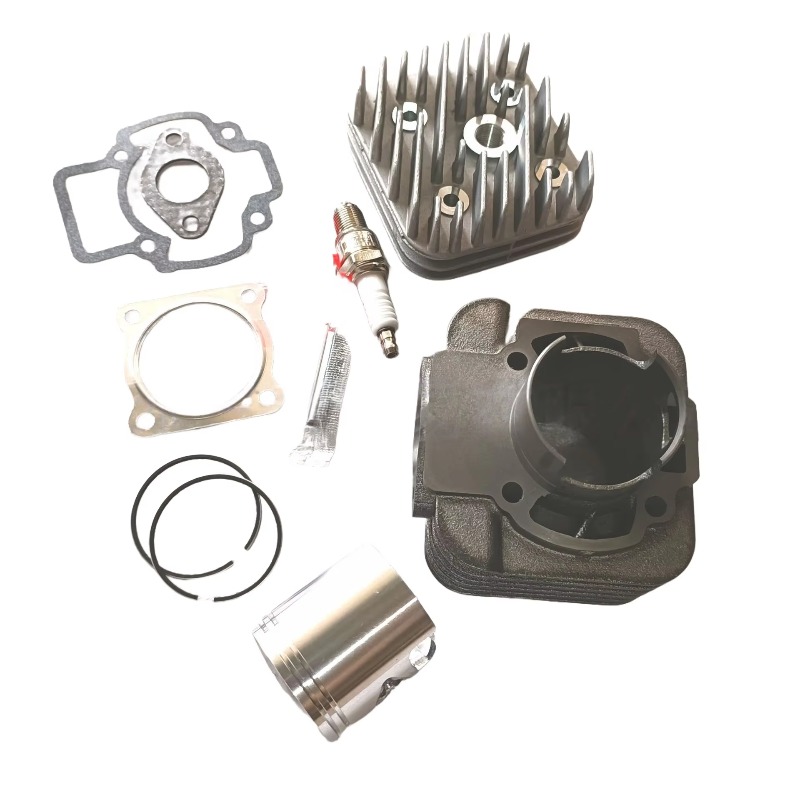OEM 2 tiempos para motocicleta - Spark Plug reseña y precio