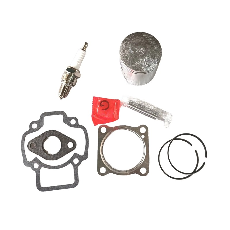 OEM 2 tiempos para motocicleta - Spark Plug reseña y precio