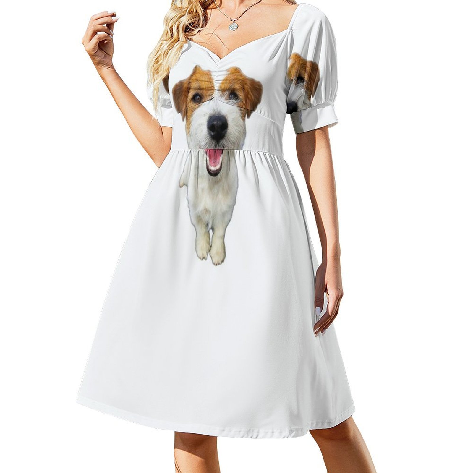 Jack Russell Terrier lindo car - Car Jack reseña y precio