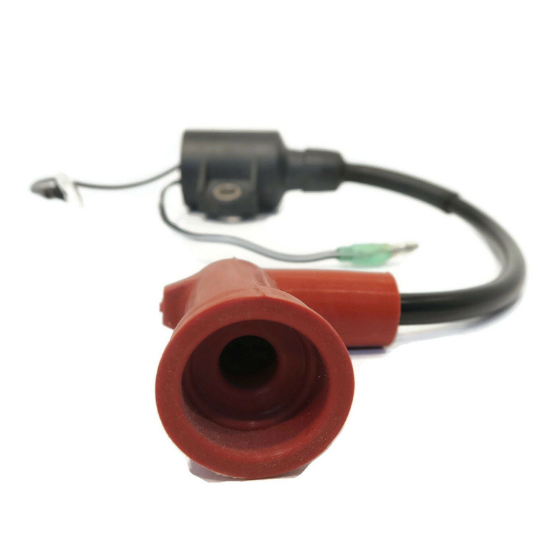 Bobina de encendido fueraborda - Spark Plug reseña y precio